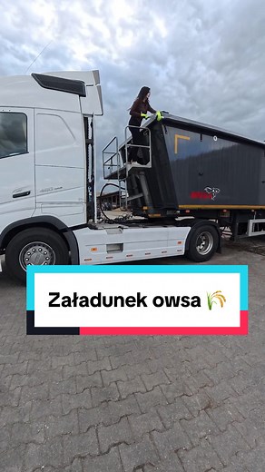 Załadunek owsa na naczepę – porady praktyczne