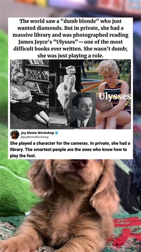 Why Marilyn Monroe Was Actually A Genius 🤯 #memes #funny #pets