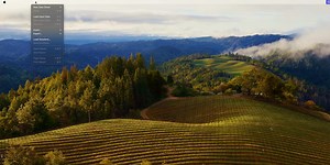 Basic Box in Container Fill