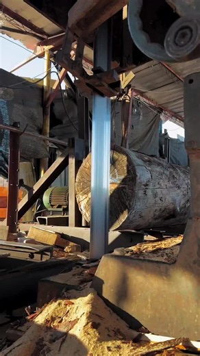 Essential Woodworking Techniques for Beginners