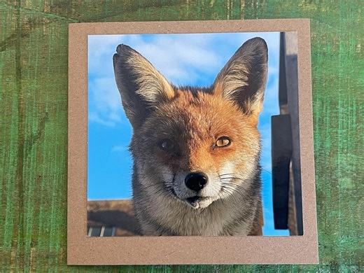 Fox Card, Recycled Card, Nature Card, Birthday Card, Recycled Card. Eco Friendly Gift Card. Handmade Card. Blank Message Card. Eco Gift. - Etsy