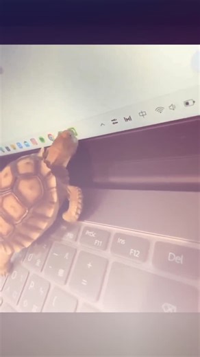 @the.reel.nigga on Instagram: "The “Smile Preload” Effect That Has Gen Z Questioning Whether Their Face Is Running Beta Software 😄⚡🫠 There’s a trend blowing up called the Smile Preload Effect, and it’s making people feel like their expressions are running a few frames ahead of reality. The challenge is easy: record yourself talking or reacting naturally. When users slow the footage down, they’re noticing a tiny moment where the corners of their mouth lift before the rest of their face joins in