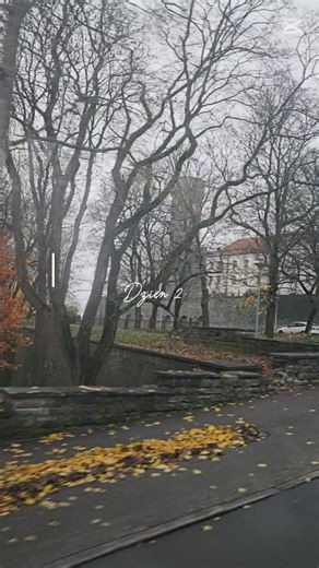 Talin -Estonia #estonia #talin #wyjazd #integracja #2025 | Monika Labuda