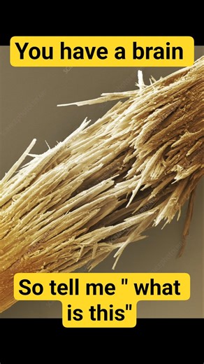 "Microscopic Wonders You Won't Believe Exist!"/#ScienceFacts#MicroDiscoveries#HiddenWorld