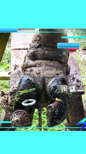 Deep Cleaning a Nailed Hoof - Extremely Satisfying! ✨🔨#HoofCleaning #SatisfyingVideos #EquineHealth