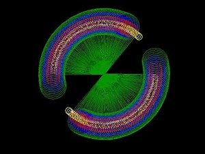 Python || turtle || flower || foryou #python #graphics#designs #turtle #coding #graphicart #artist