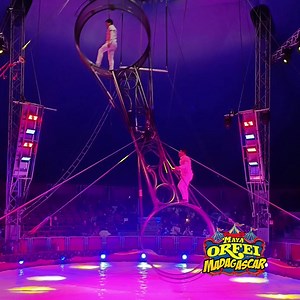 🎪 ¿Listos para una aventura extraordinaria en el Circo Madagascar? 🐅 🦒🐪 Serán transportados al corazón de la jungla, con los animales más extraordinarios del planeta y su fiel amigo King Max, un domador increíble. 🦁🦓 🐅 Conozcan a las majestuosas tigres, que muestran su fuerza y agilidad en espectáculos increíbles. 🐘 Admiren a los elefantes, gigantes gentiles que los sorprenderán con su inteligencia y gracia. 🦒 Maravíllense con las elegantes jirafas y obsérvenlas rozar el cielo con sus l