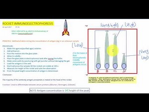 ROCKET IMMUNOELECTROPHORESIS