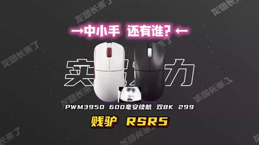 贝戋马户贱驴RSR5 三模游戏鼠标 双8K回报率 轻量化无线鼠标 家用人体工学设计鼠标..