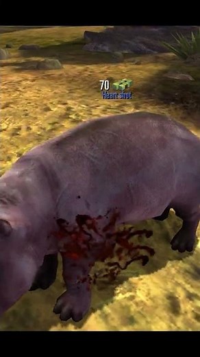 Deer Hunter Classic [Trophy Hunt Region 4] Short