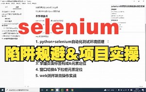 selenium元素定位陷阱规避&项目实操