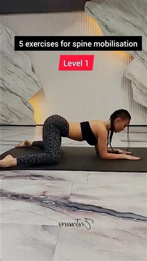 5 Best Spine Mobility Exercises for Better Posture Daily Stretch Routine #fitness #workout #shorts