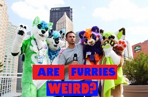 Does dressing up in a fur suit and calling yourself a "Furry" make you weird? Anthrocon is the world's largest convention for those fascinated with anthropomorphics, which are humanlike animal characters. There were 1,890 "Furries" at this years parade.(Anthrocon.org) I went undercover at this years Anthrocon to see how the "Furries" feel about society's perception of them. | Jordon Rooney