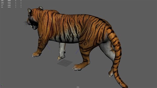 tiger walk cycle, pavithra0702