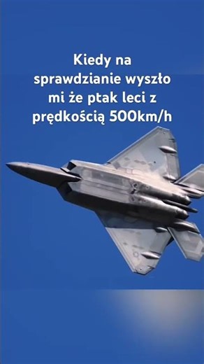 Xd #wybijsie #memes #sigmabrothers #trend #funny #fun #śmieszne #comedy #automobile #humor #wywiad