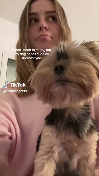 Cute Dog Study Companion: A Must-See