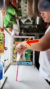 Warum Hat Der Ladenbesitzer Ein Kaltes Getränk In Eine Plastiktüte Gegossen ｜ Aber Wo Ist Die Katze