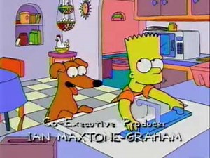 Simpsons - Homer under the shower