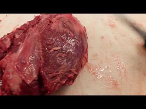 How To Trim A Beef Tenderloin