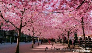 1.3K views · 87 reactions | "Valora lo que tienes, siempre habra alguien en el mundo que desearía tener un poco de lo mucho que tú tienes..." ¿Os gustó el vídeo? Comparte este vídeo para hacer reflexionar a los demás, ayudales a ver la vida desde otra prespectiva ♡ #Compartir -> Si os gusto el vídeo click en  y comenta tu opinión si os gusto el vídeo para más videos inshaallah  Gracias por escuchar, Jazakum Allah khairan! | Eliminado | Facebook