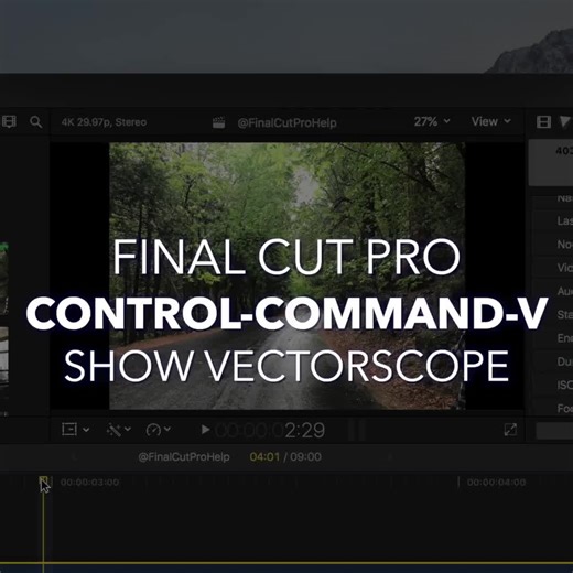 Control-Command-V | Show Vectorscope | Use this Final Cut Pro shortcut to show the vectorscope in the viewer More at AnAwesomeGuide.com/FinalCut #DailyShortcut #TipOfTheDay #FinalCutPro #FCP11 #Apple #VideoEditingTips #EditingTips #FilmEditing #VideoEditing #FCP11Shortcuts #LearnSomethingNew #VideoEditor #CreativeEditing #PostProduction #FCP11Tutorial #FinalCutTutorial #FCP11Features #VideoTutorials #ContentCreationTools #ThursdayThoughts #ThursdayGrind #ThursdayTip #Thursday #TimeSaverThursday 