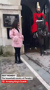 2.6K views · 20 reactions | The household cavalry at Parade.! #lifeguards #horseguards #royalguards #royalfamily | Amazing King's Guards | Facebook