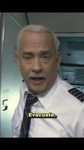 A disaster triggered by a flock of birds..... #movie #film#sully