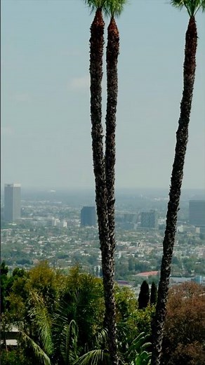 Nine Unique Places To Stay In California - Stark Villas by LuxJB