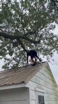 ⚡Steve & Scott Cutting Down a Tree Extras [Part 2 of 2]⚡