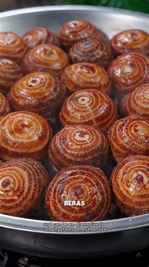 Taro, which we consider a nuisance in China, has become a staple food #agriculture #gardening #fyi