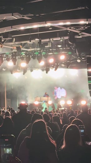 Ja Rule Concert Experience