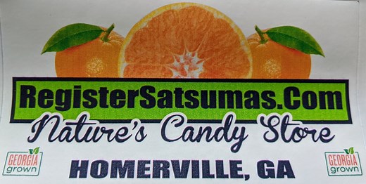 Registers Old Place Farm|satsumas for sale|GeorgiaWhere to buy satsuma