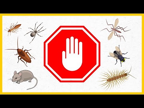 How To Repel Household Pests Naturally