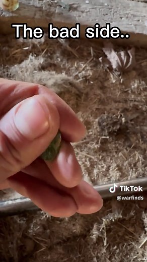 Metal Detecting Adventures: Discovering 1922 Artifacts