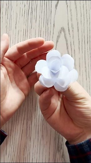 How to Make a Beautiful White Paper Flower | Easy DIY Tutorial 🌼