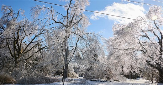 What are frost quakes? That popping noise, tremor could be a sign of cryoseism