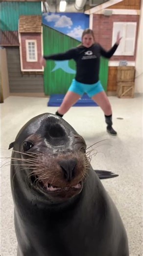 #pov #youtube #fyp #fypシ #funny #foryoupage