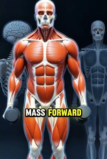 The scapular push up targets two critical for shoulder health muscle groups, serratus anterior and