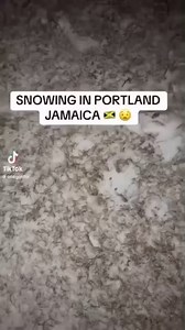 Snow is falling in Portland Jamaica https://fb.watch/xh5zI-pl0l/ | Rawpa crawpa