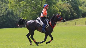 British endurance numbers up as fourth chairman in 12 months appointed *H&H Plus* - Horse & Hound