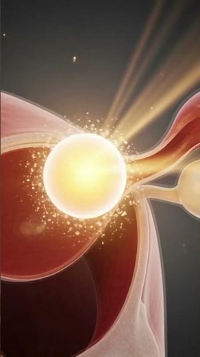 Where Does the Egg Go After a Partial Hysterectomy| Explained Simply.