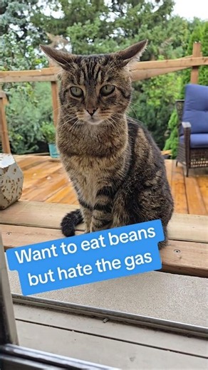 How to Eat Beans without getting gas. #gasrelief