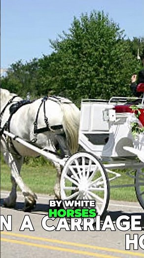 Hector Camacho: The Enduring Legacy of a Boxing Legend