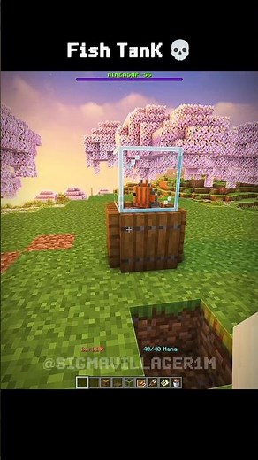 Minecraft Fish Tank