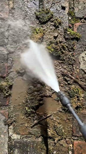 Brick patio restoration that's actually satisfying #cleaning #satisfying