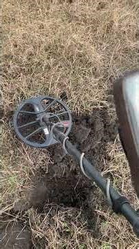 IT CONTINUES… This Hoard Might Be REAL! 😱 (Ep.2) #hoard #history