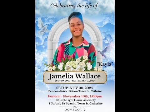 Celebrating The Life of Jamelia Wallace (kayla)