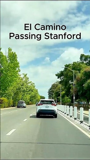 El Camino Real Near Stanford | Palo Alto Drive