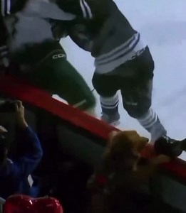 Dogs like hockey fights!! Learnt something new today!! | Chasing The Puck