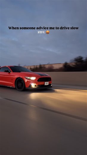 🐎 on Instagram: "🐎 . @bagghesmg @farmaansmg @bigkaysmg @ahan.smg . . #mustanggt #brampton #surrey #calgary #canada"